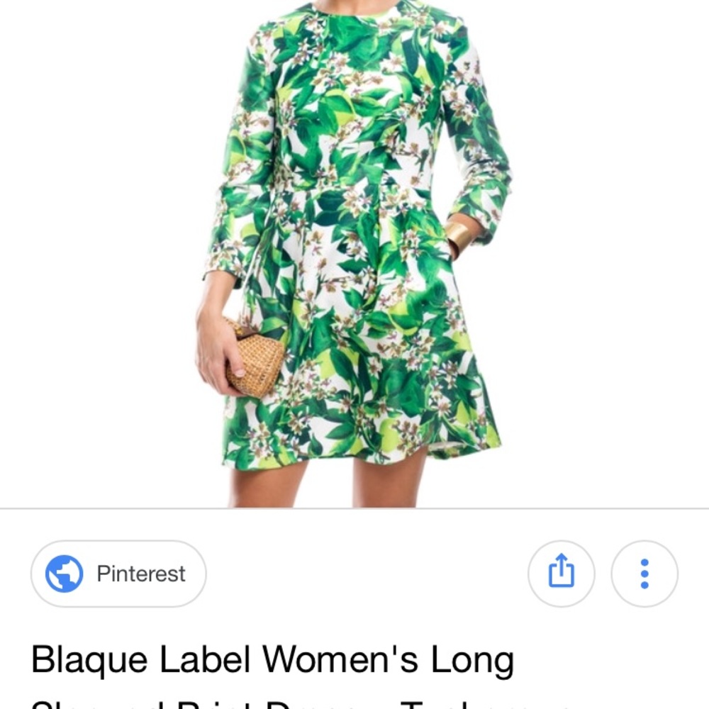 Long Sleeve Tuckernuck Blaque Label Dress S (2 4)
